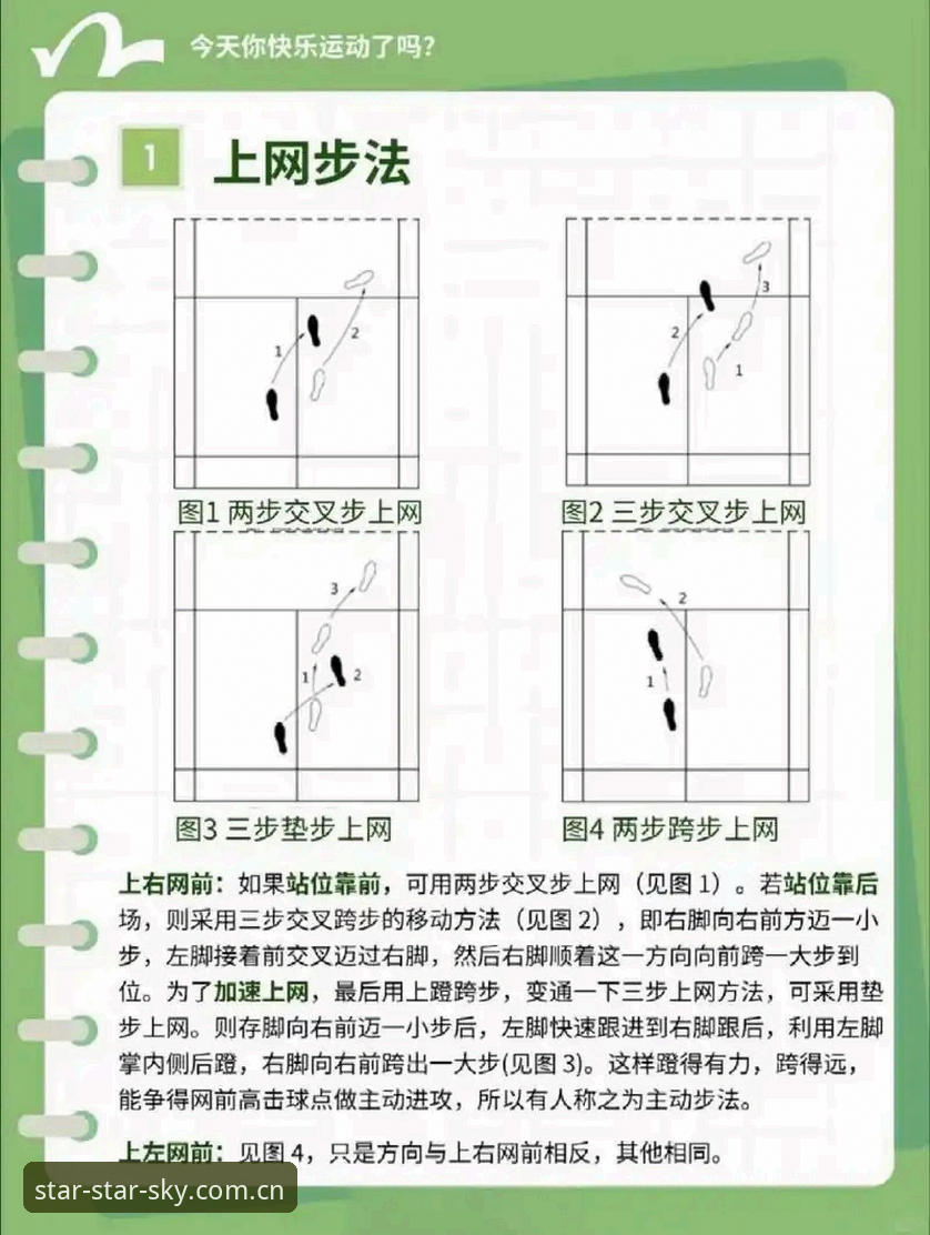 星空体育体育资讯攻略最新动态：从实战角度教你如何高效玩转赛事资讯